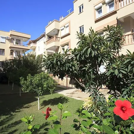 Helios סייד